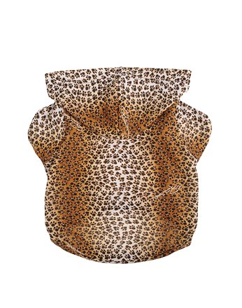 Roberto Cavalli — e-commerce